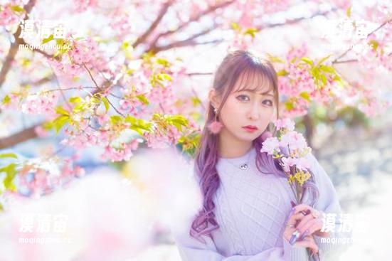 探秘月城委员会的时尚宝库：那套装背后的照片故事
