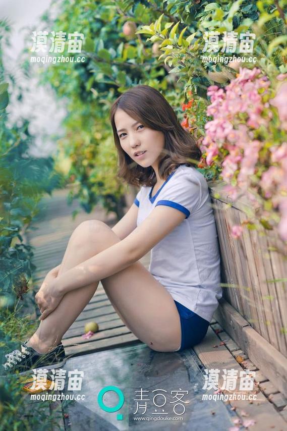 青豆客 - 探秘婕西儿作品合集，剧情背后的故事你了解吗？